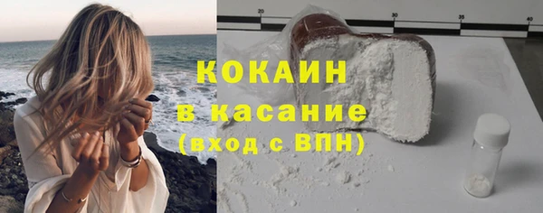 стаф Новозыбков