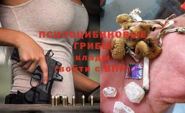 спиды Нефтекумск