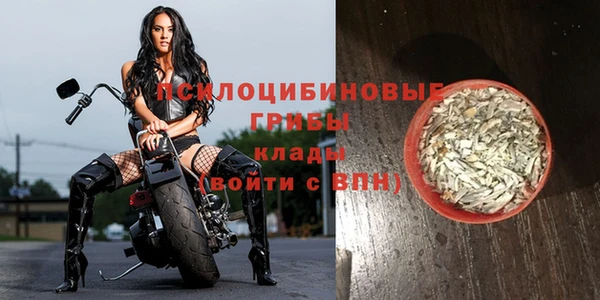 мет Нефтегорск