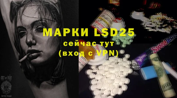 спиды Нефтекумск